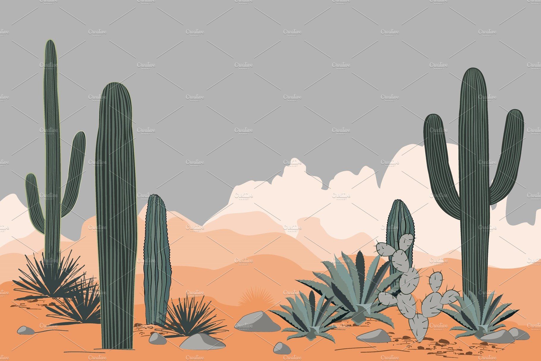 A desert landscape with cacti. - Mexico