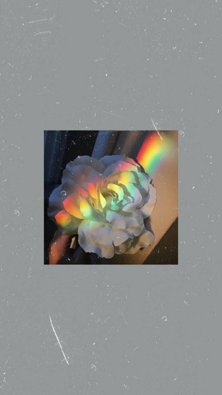 A picture of an image with rainbow colors - Rainbows