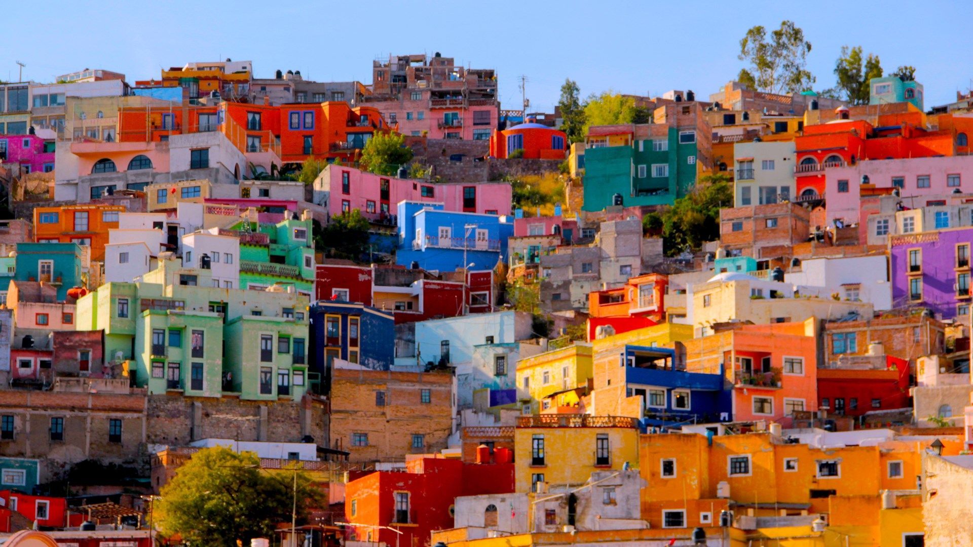 A hillside of colorful houses in Guanajuato, Mexico. - Mexico