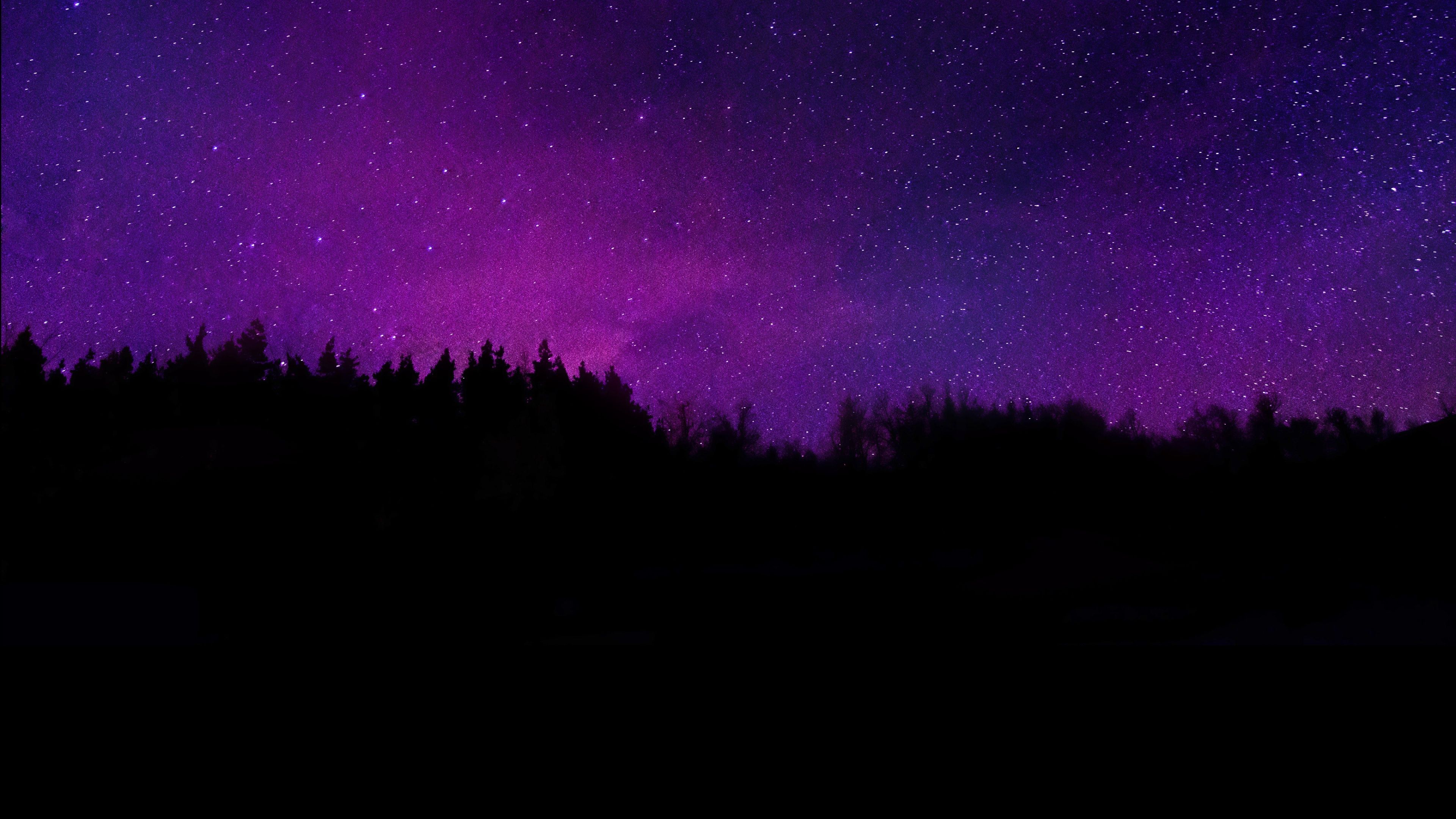 A purple sky with stars and trees - Night