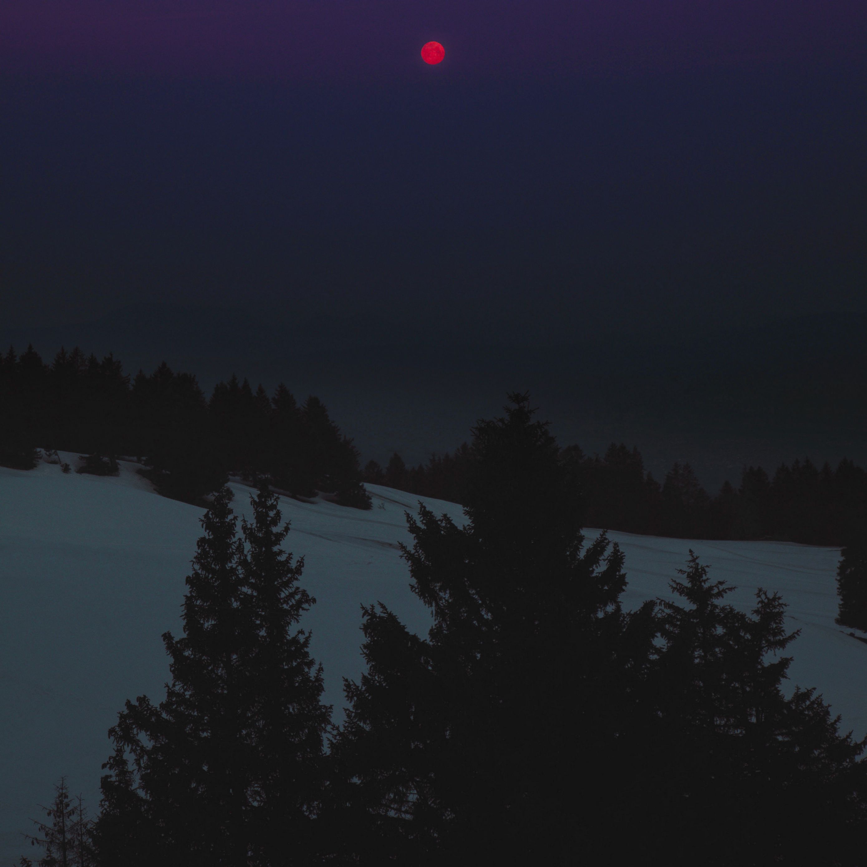 A red sun is seen above a snow-covered hill with pine trees. - Night