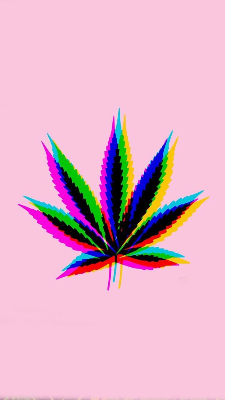 A colorful cannabis leaf on pink background - Weed