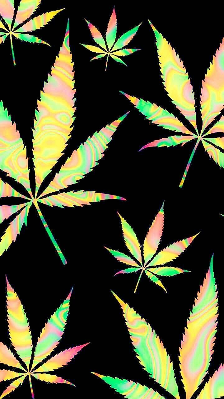 This is a photo of a colorful background of leaves. - Weed