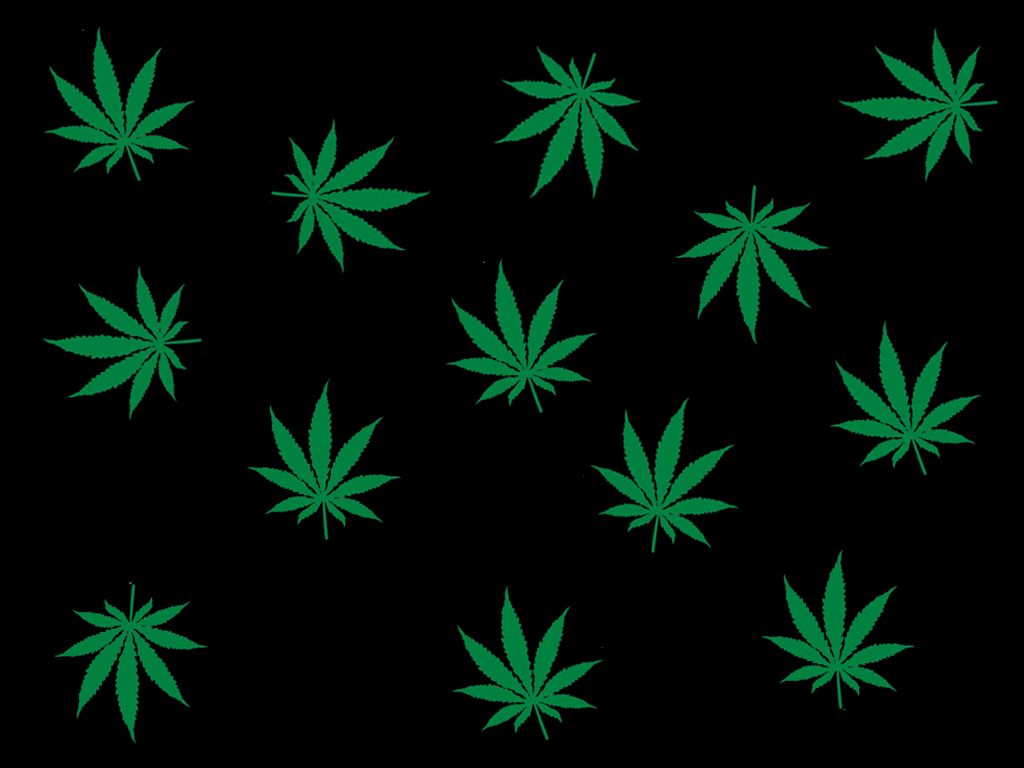A black background with green cannabis leaves - Weed