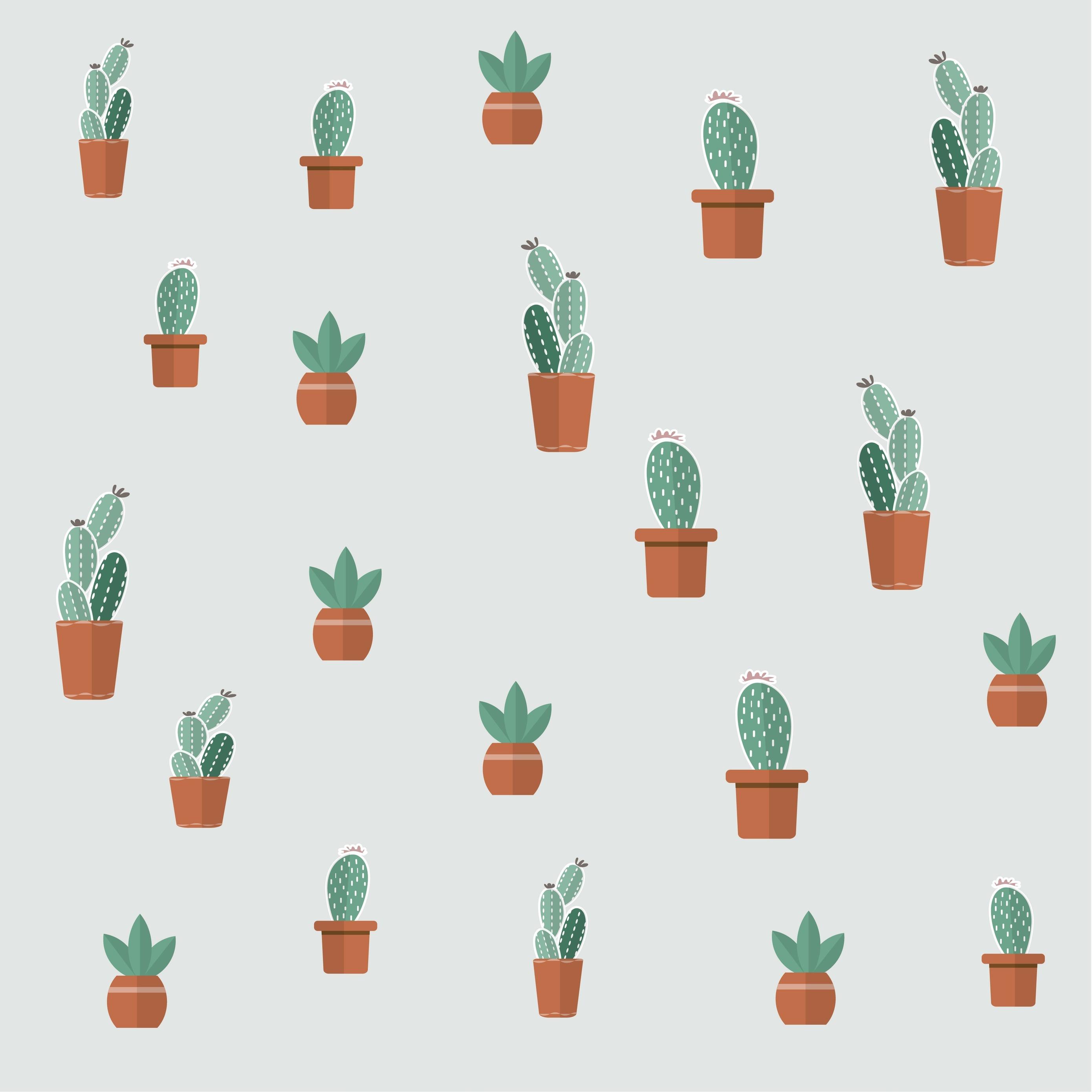 A pattern of cactus plants in pots - Cactus, succulent