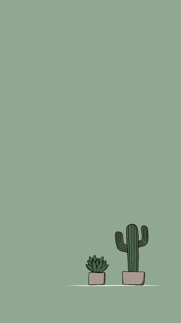 Green Cactus. Fond d'écran téléphone, Fond d'écran simple, Fond d'ecran pastel. Android wallpaper vintage, Simple iphone wallpaper, Simple phone wallpaper
