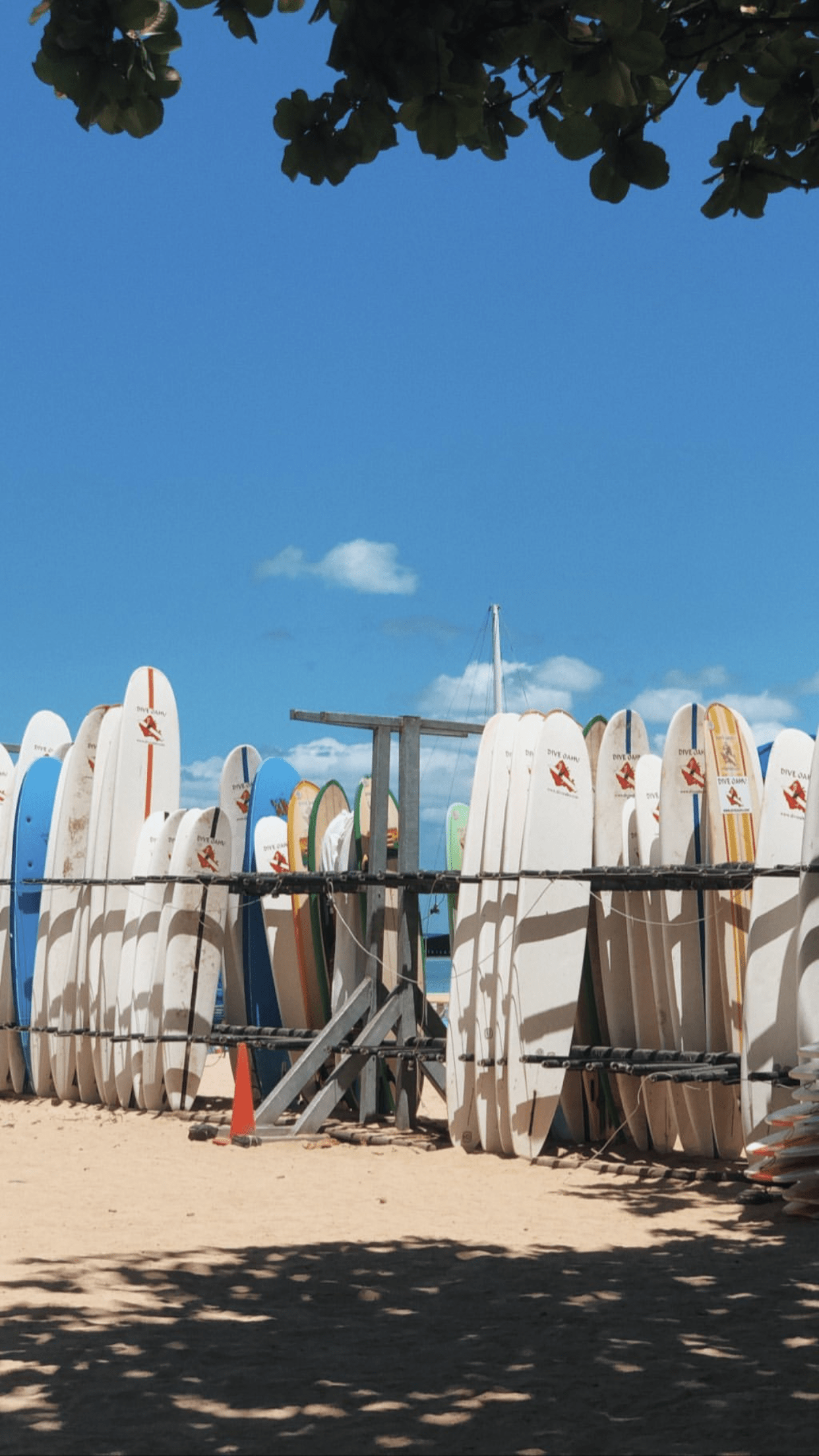 A group of surfboards on the beach - Surf