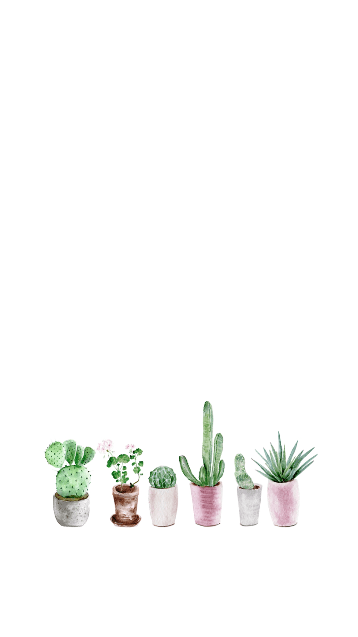 A watercolor painting of several potted plants - Cactus, succulent