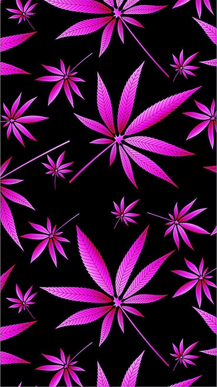 A pattern of pink cannabis leaves on a black background - Weed