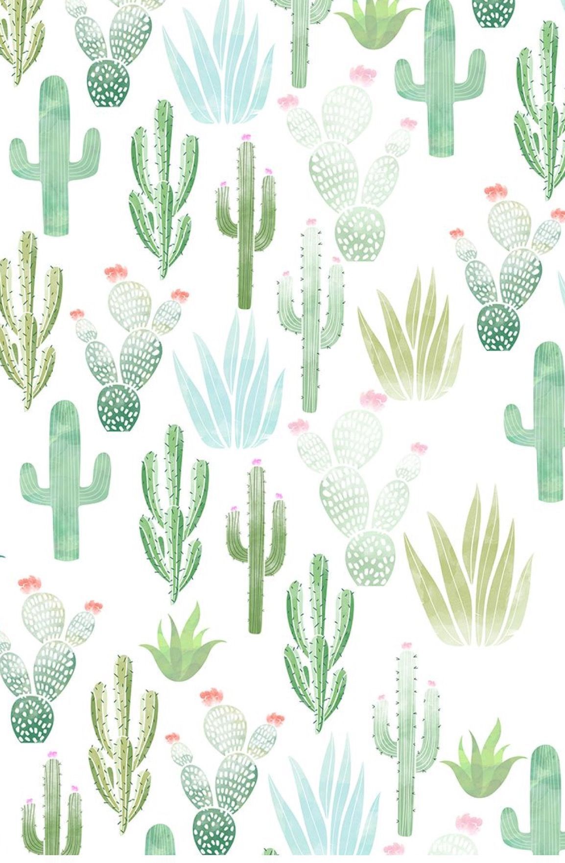 I frickin' love cacti. iPhone wallpaper green, Summer wallpaper, Free iphone wallpaper