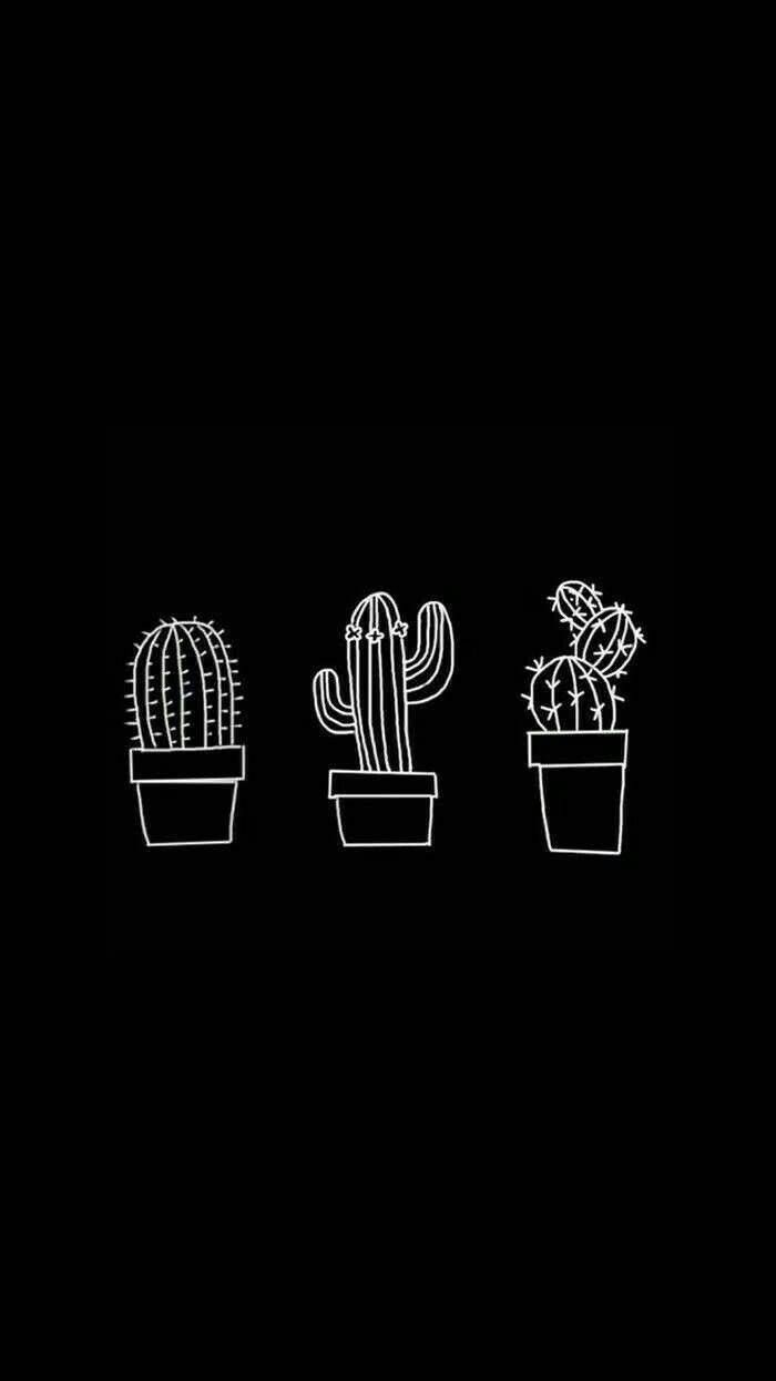 Download Cute Black And White Aesthetic Cactus Drawings Wallpaper