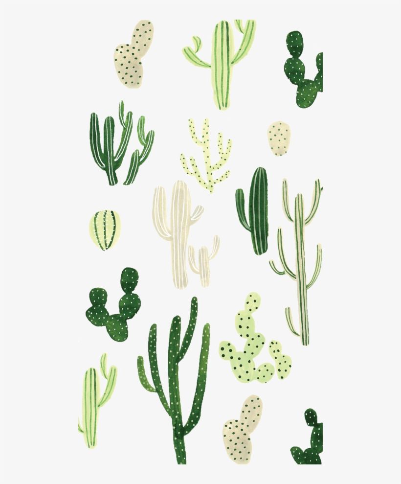 A poster with cactus plants and leaves - Cactus