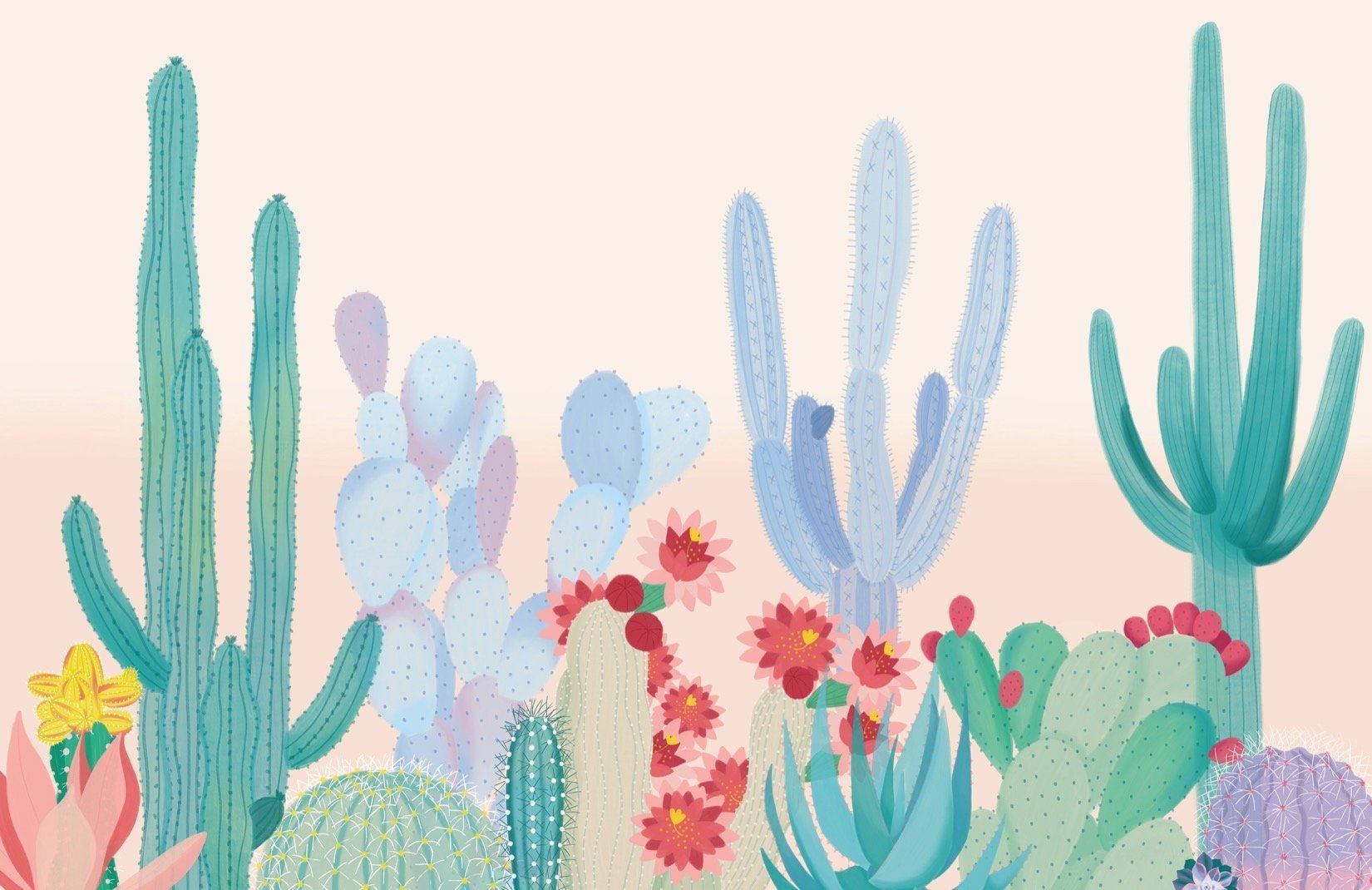 A cactus garden with flowers and other plants - Cactus