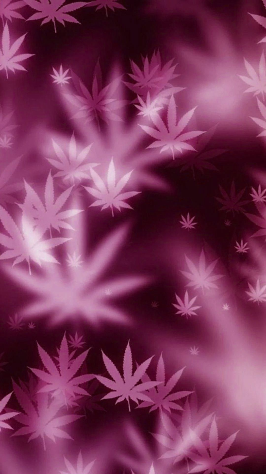A purple background with leaves on it - Weed