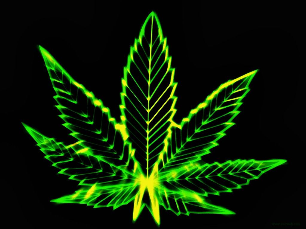 A neon green and yellow cannabis leaf on a black background - Weed