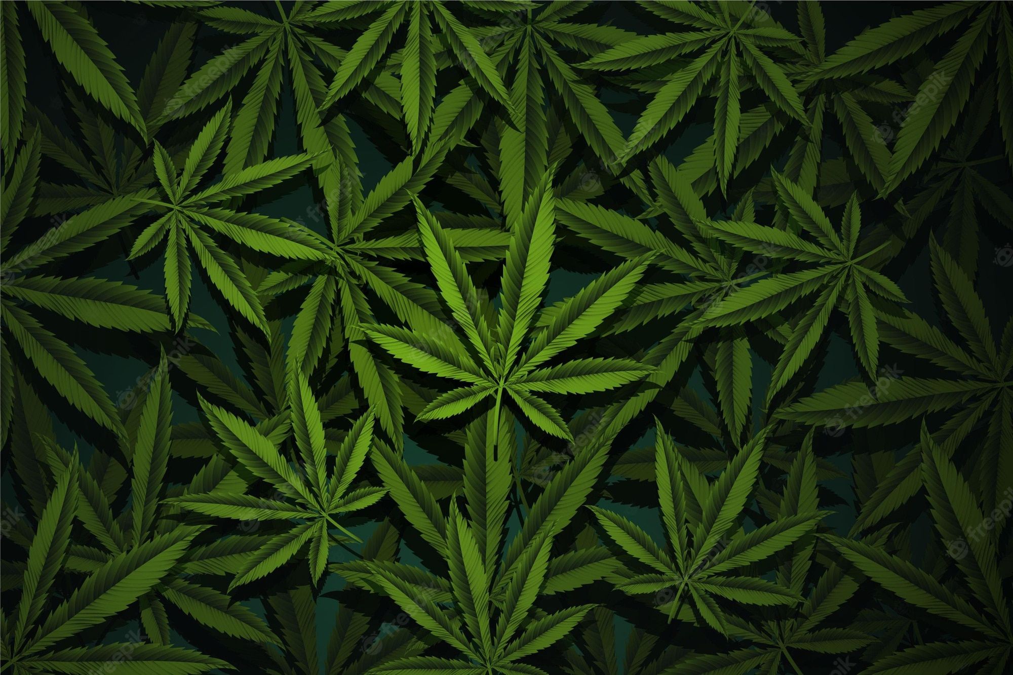 A background of green cannabis leaves - Weed