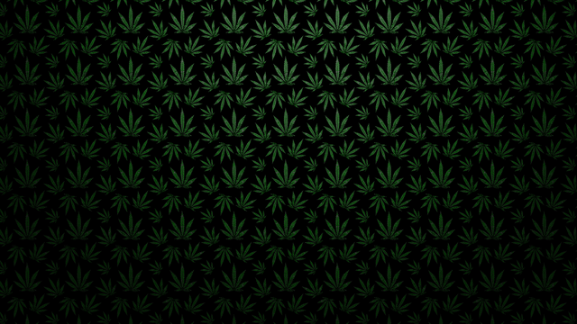 A green cannabis leaf pattern on a black background - Weed