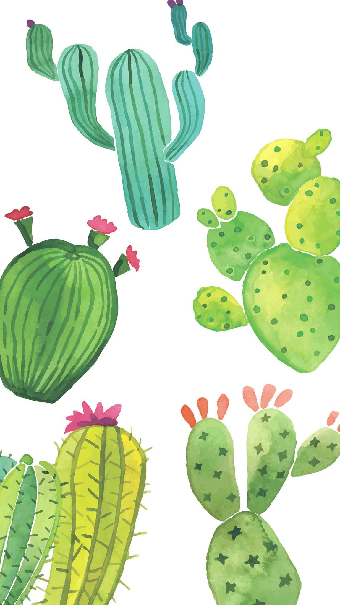 A set of cactus drawings with different colors - Cactus