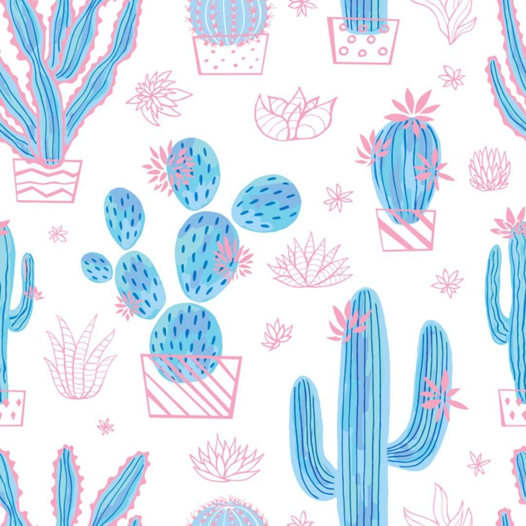 Cute Cactus Wallpaper And Stick Or Non Pasted