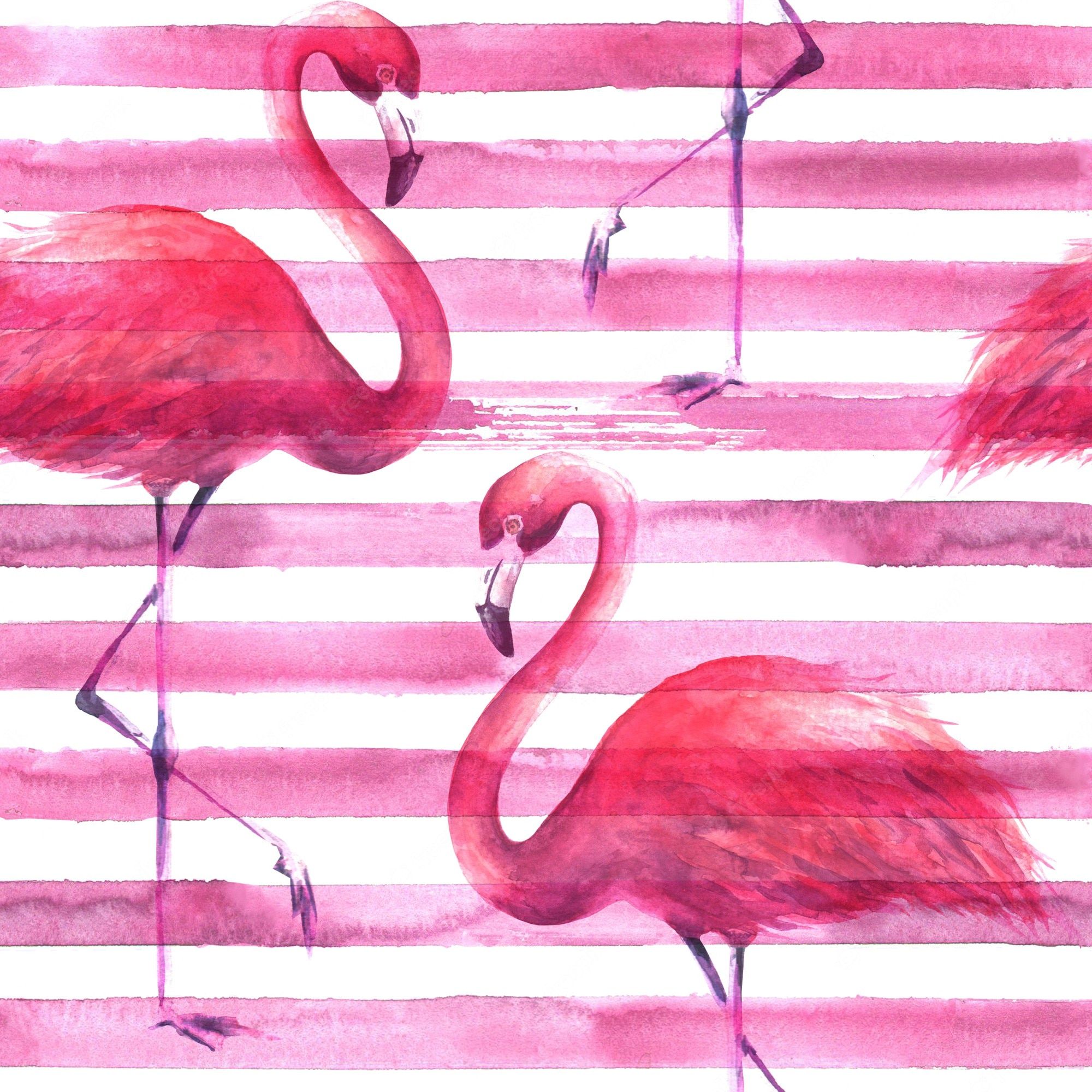 Flamingo Line Picture
