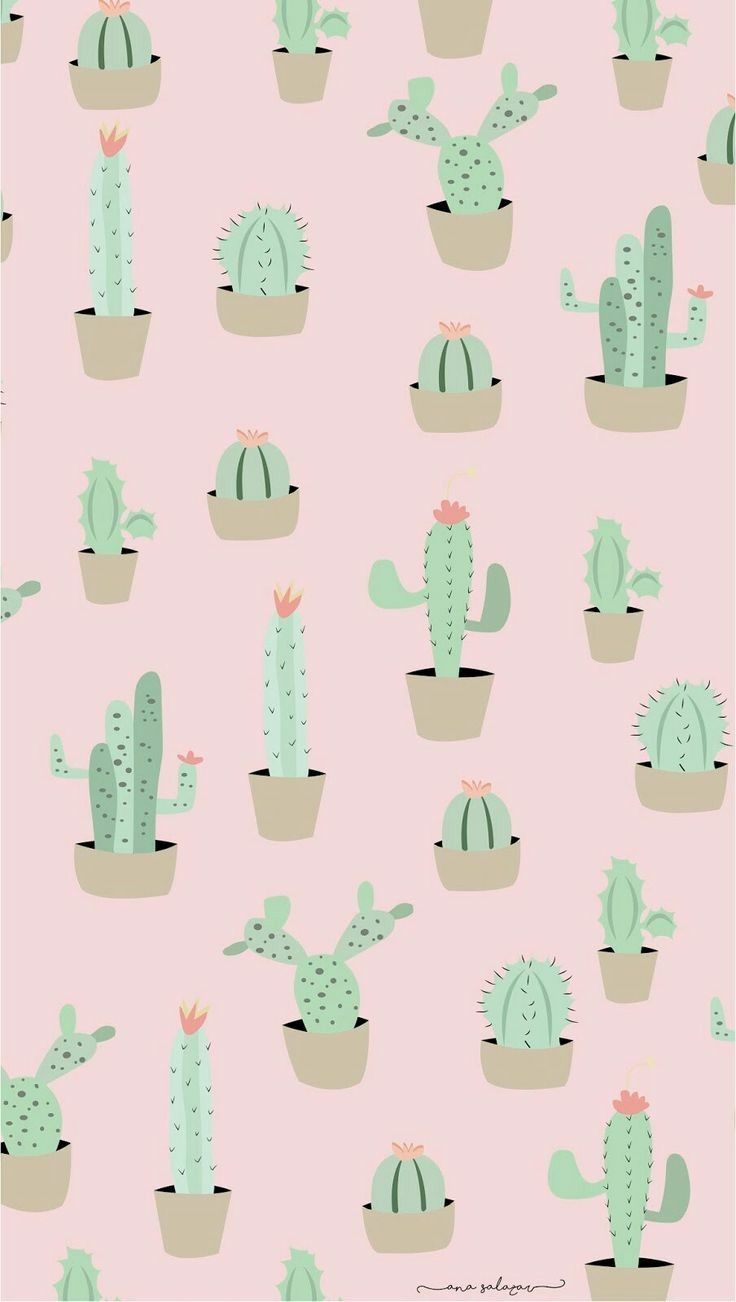 Aesthetic phone wallpaper of a pink background with green cacti - Cactus
