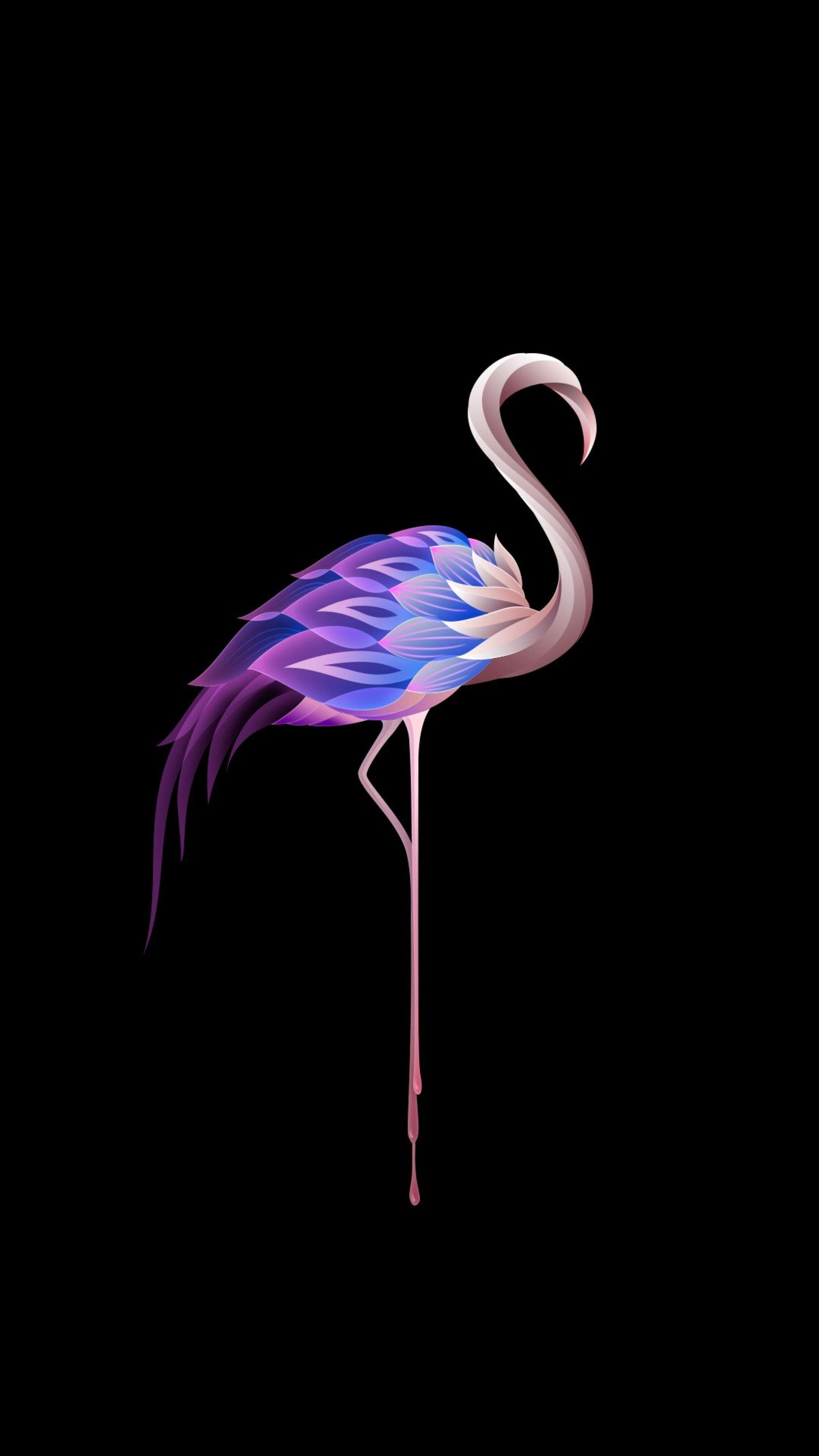 A flamingo with a black background - Flamingo