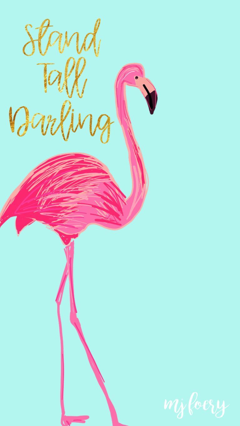 Flamingo iPhone Wallpaper