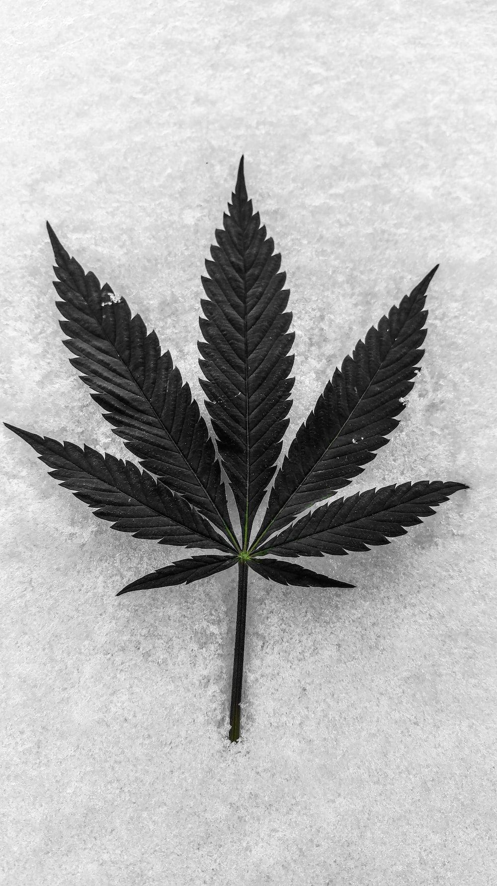 Weed Background Image: Download HD Background