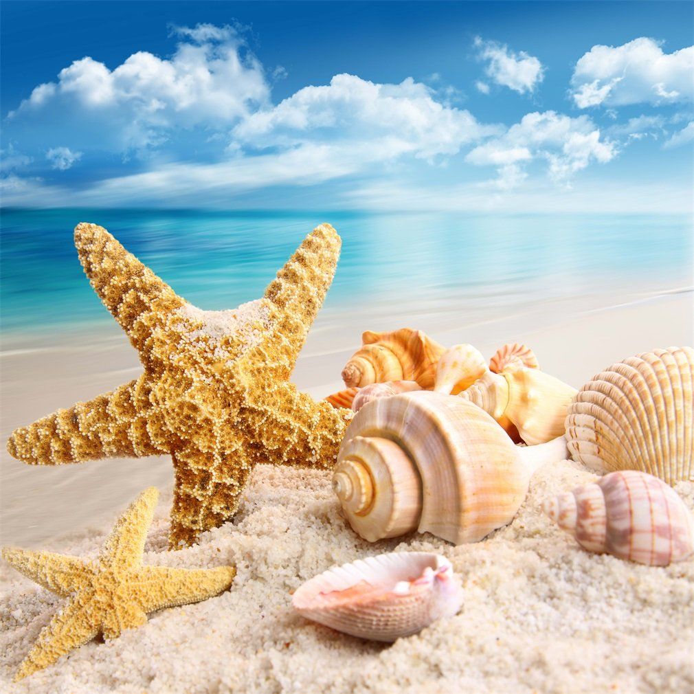 A starfish and shells are on the beach - Starfish