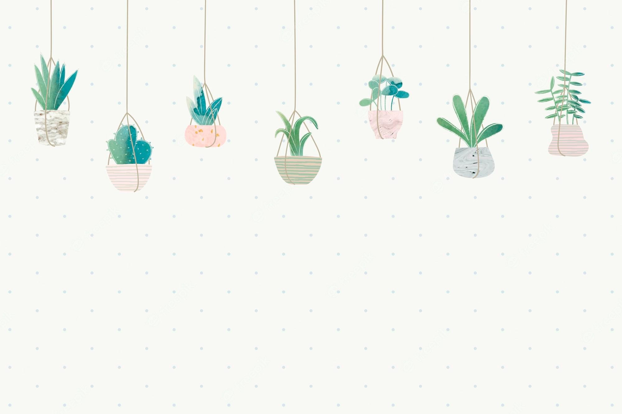A set of hanging plants on strings - Cactus