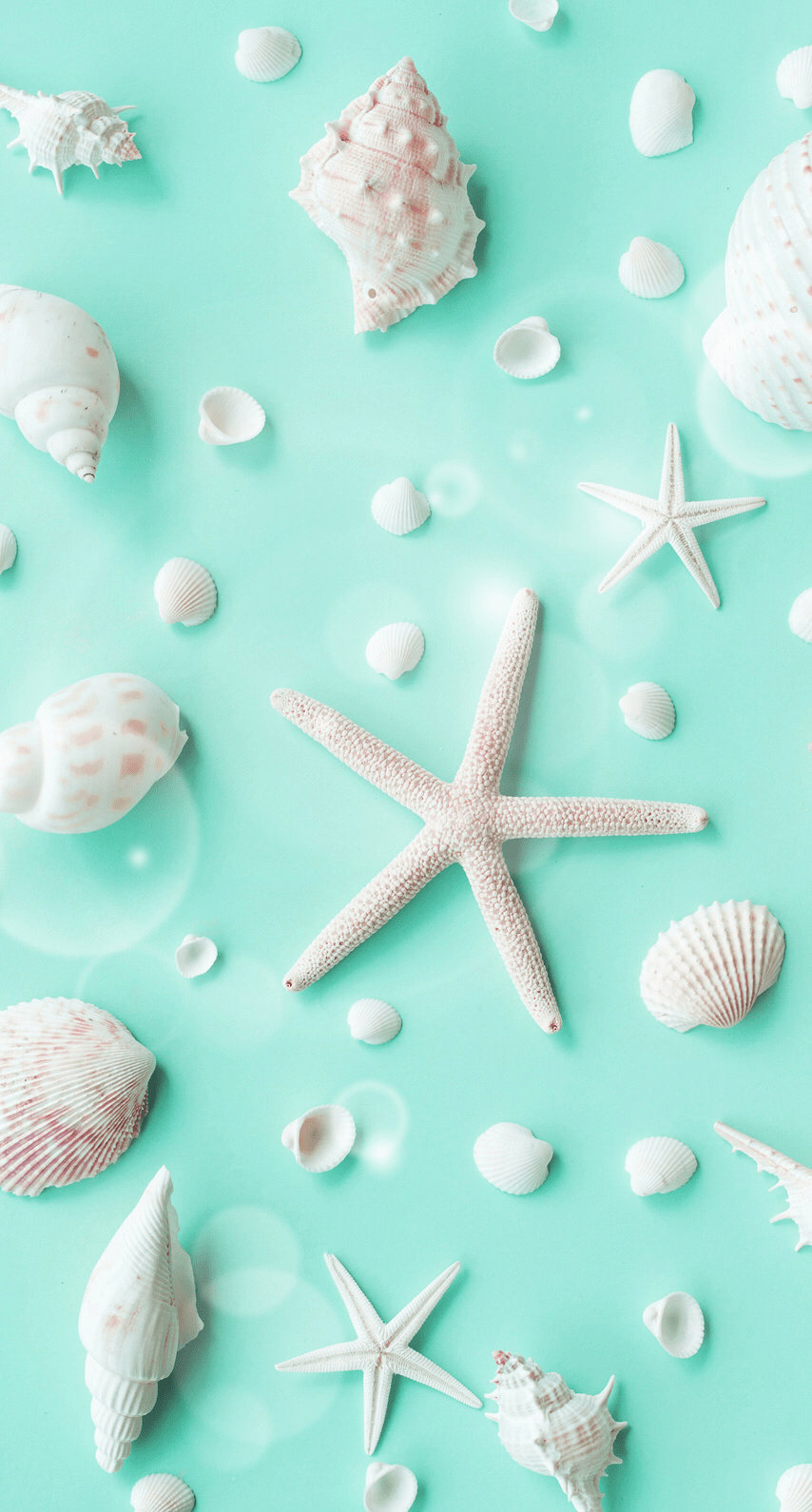 A seashell pattern on turquoise background - Starfish