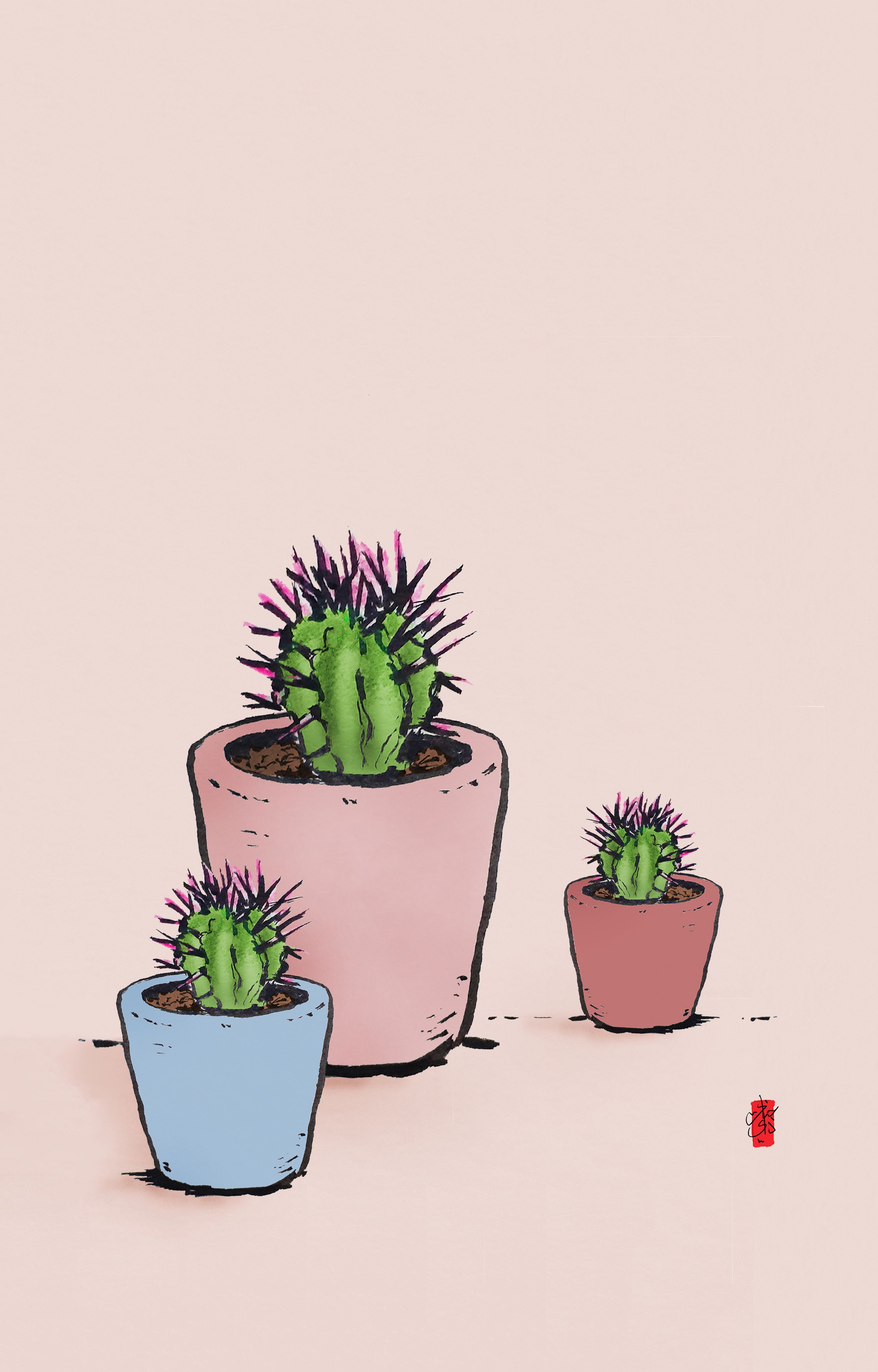 Three cactus plants of varying sizes in pots. - Cactus