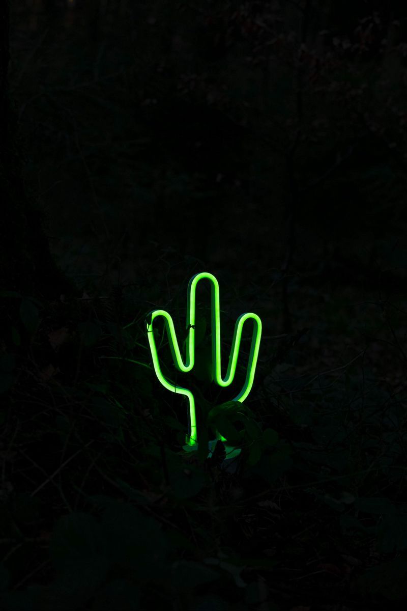 A neon cactus sign in the dark - Cactus