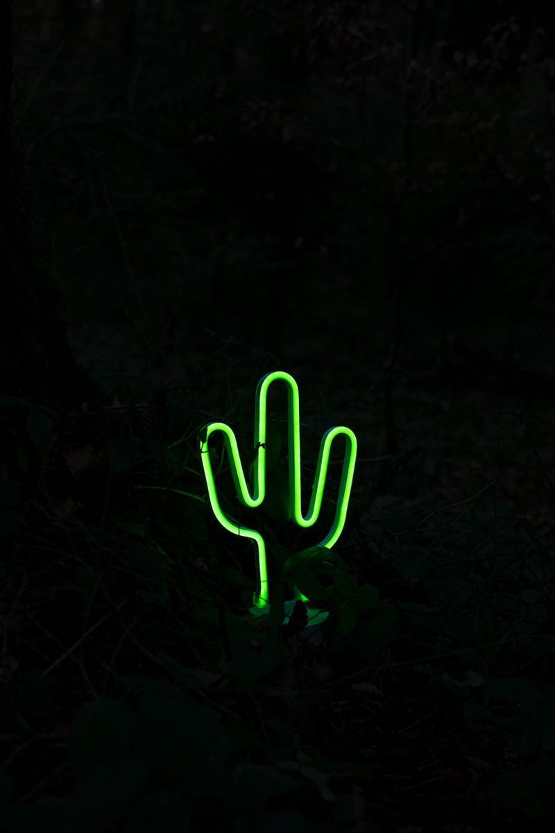 Download Wallpaper 800x1200 Cactus, Neon, Dark, Green Iphone 4s 4 For Parallax HD Background