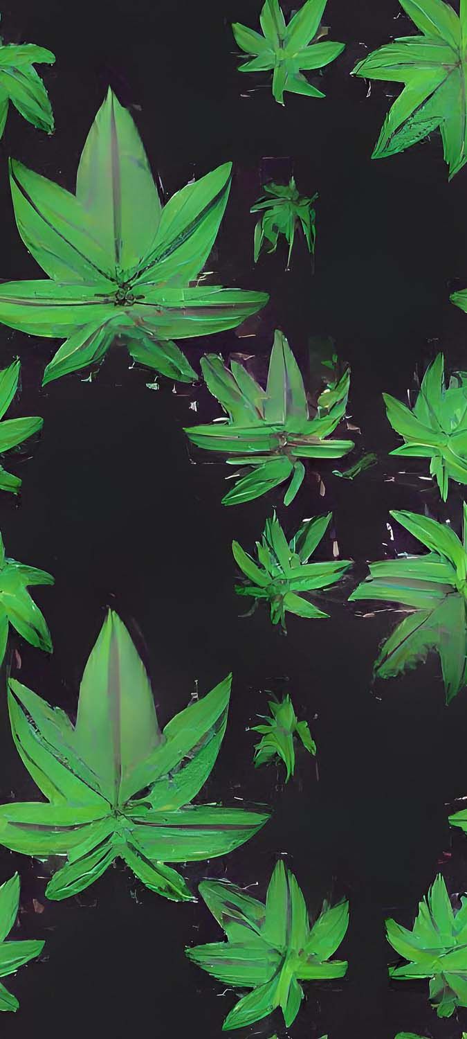 Marijuana IPhone Wallpaper HD Wallpaper : iPhone Wallpaper