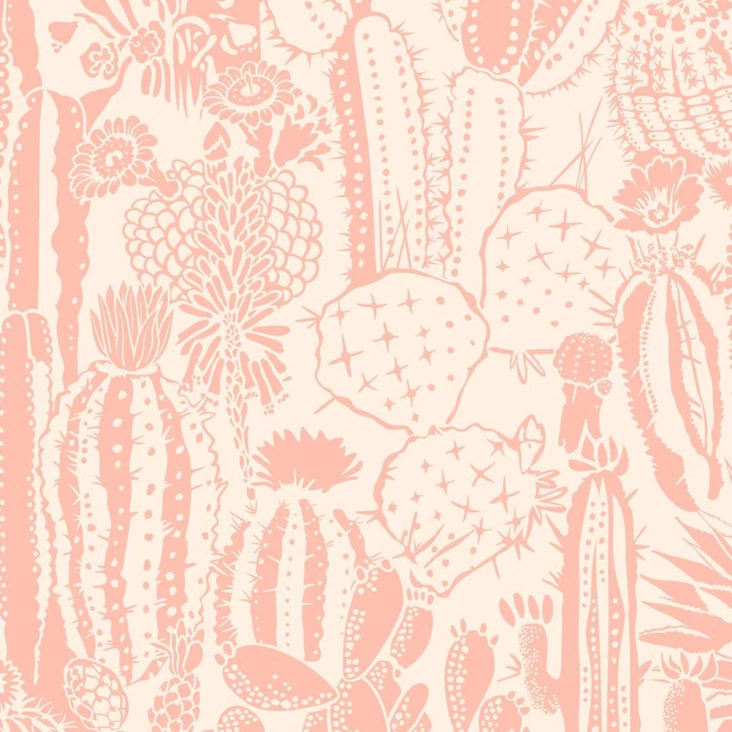 A cactus wallpaper in pink and white - Salmon, cactus, blush