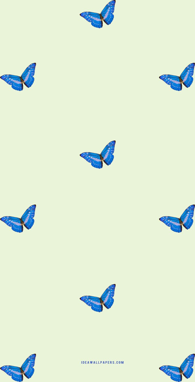 A pattern of blue butterflies on green background - Soft green, light green, butterfly