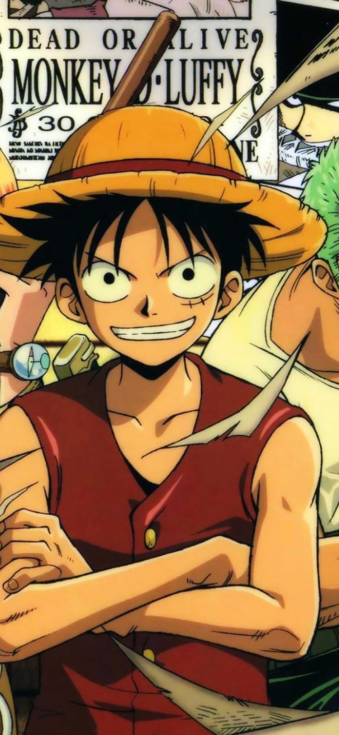 Luffy and the rest of the Straw Hat Pirates are the main characters of One Piece. - One Piece