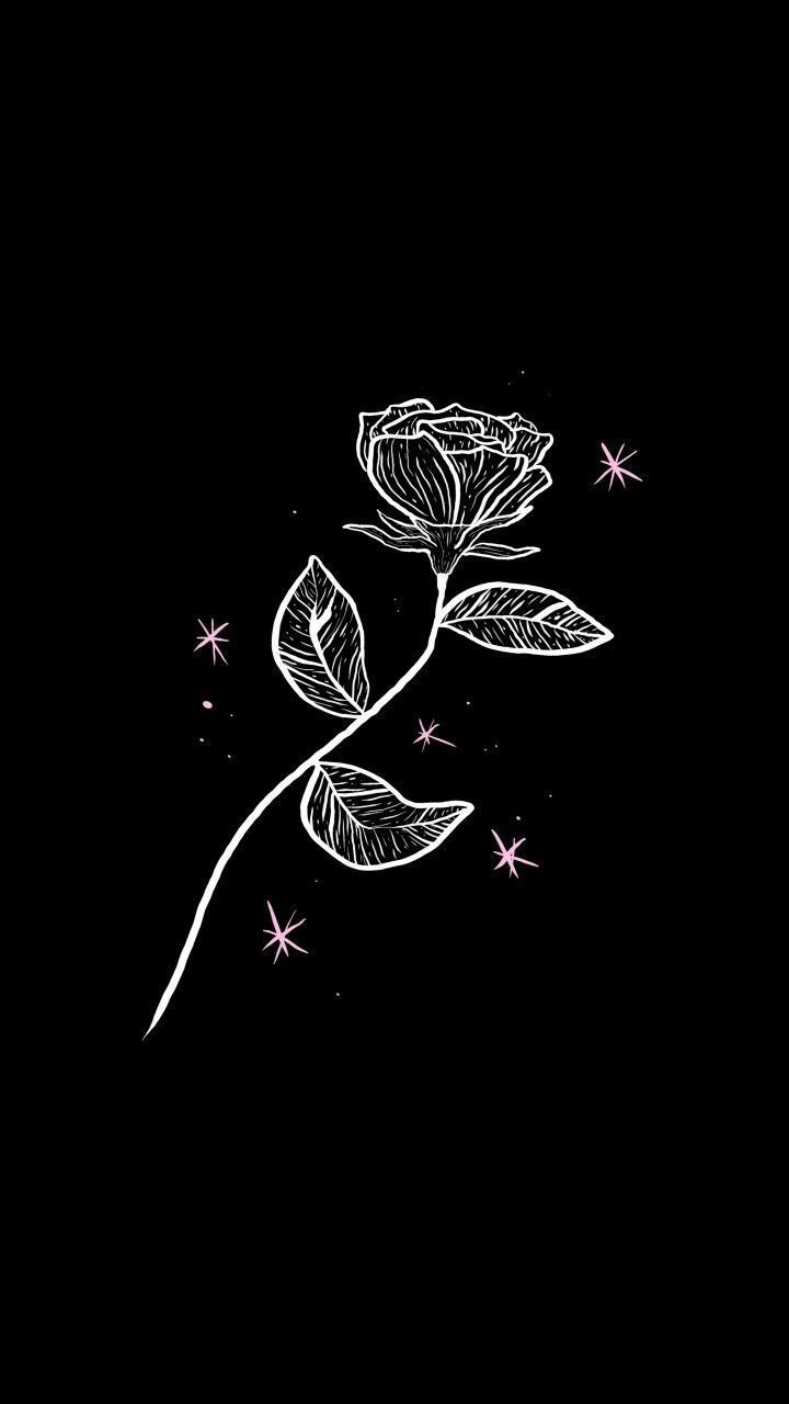 Aesthetic wallpaper with a white rose on a black background - Cute white, dark phone