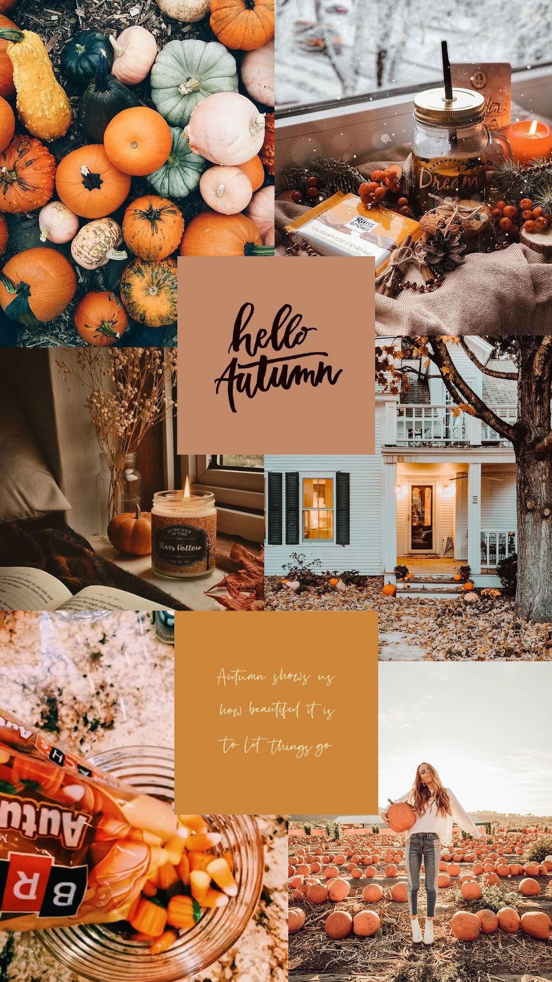 A collage of images featuring pumpkins, leaves, and cozy autumn elements. - Fall, cute fall, collage, fall iPhone, October, November