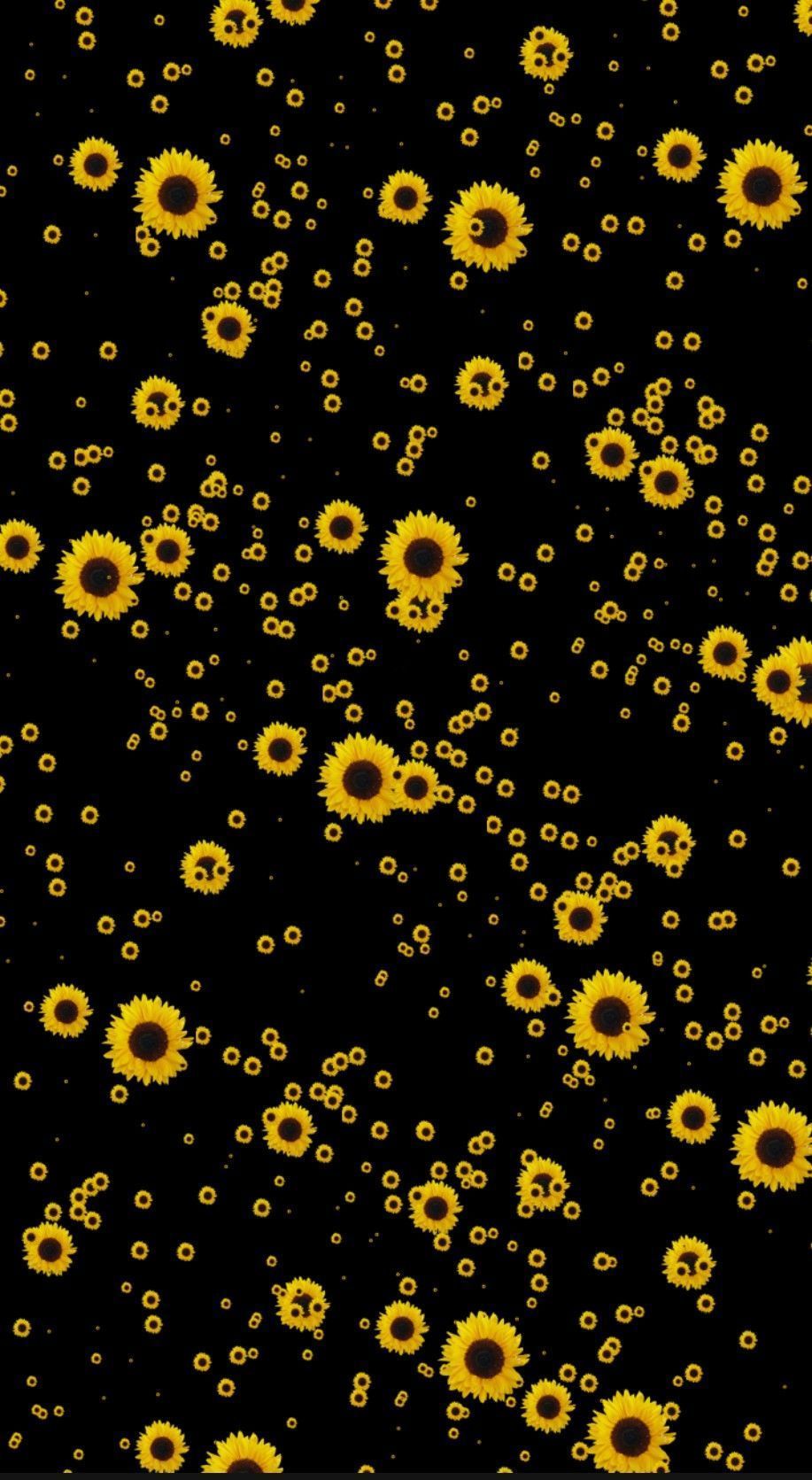 Aesthetic sunflower wallpaper for your phone or desktop background. - Emoji
