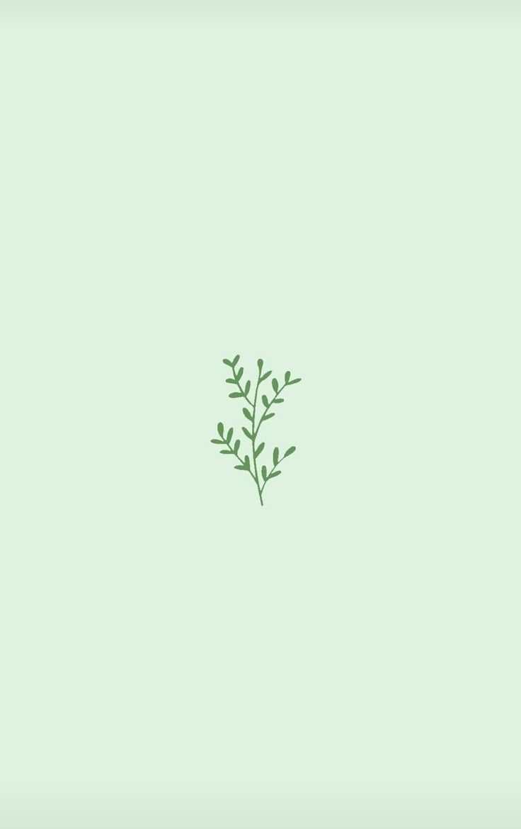A green leaf on white background - Soft green