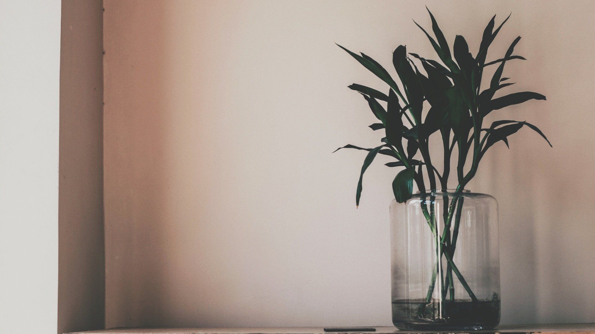 A tall plant in a clear vase on a table. - Minimalist