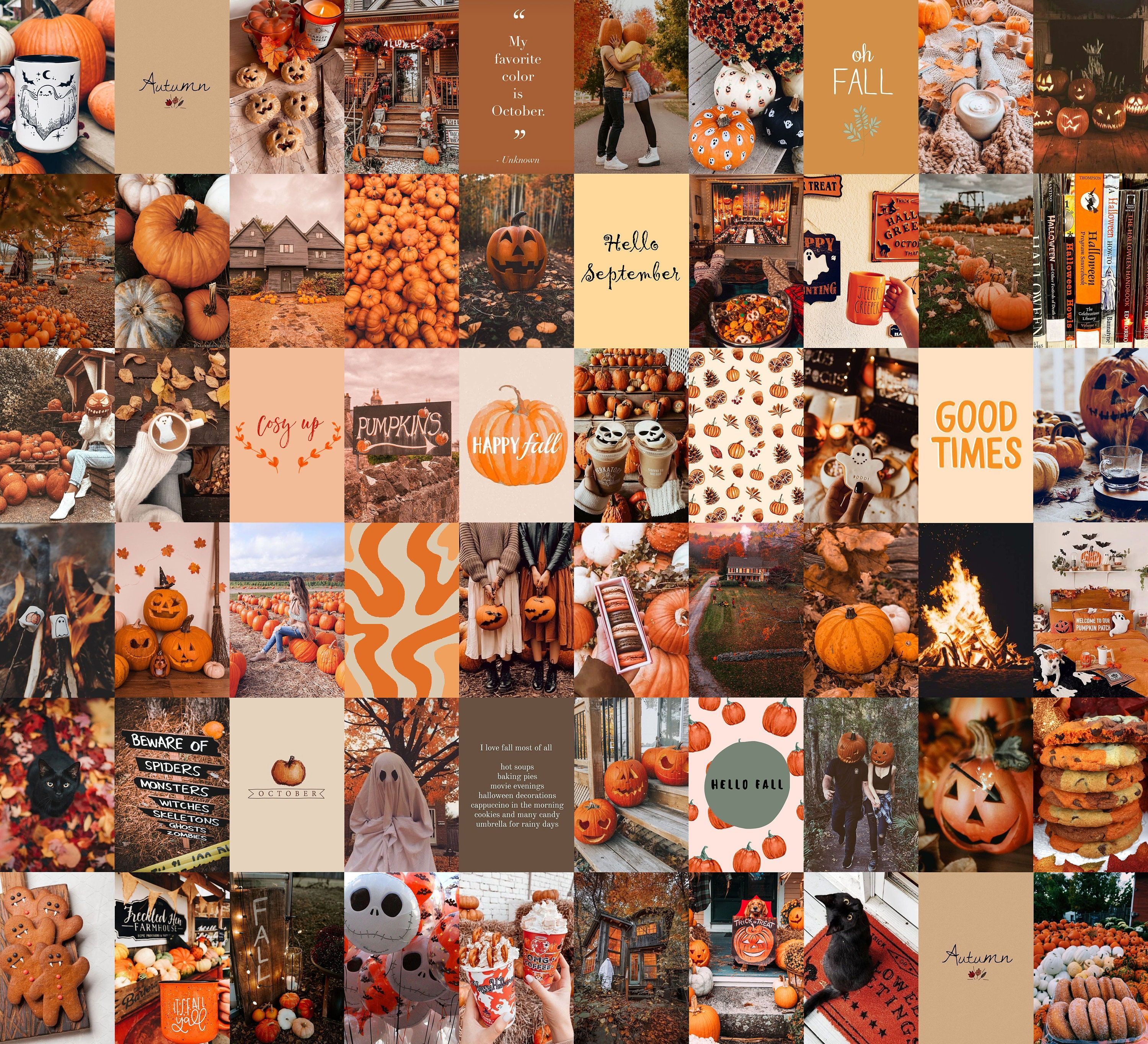A collage of pictures with orange pumpkins and other items - Halloween, cute Halloween