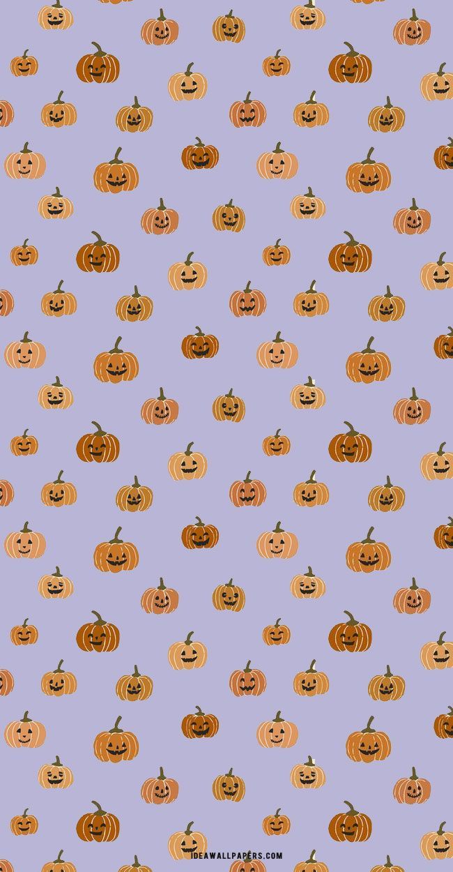 A pattern of pumpkins on purple background - Cute Halloween, Halloween
