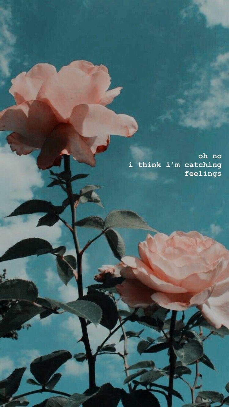 Aesthetic wallpaper with roses and a quote. - Vintage