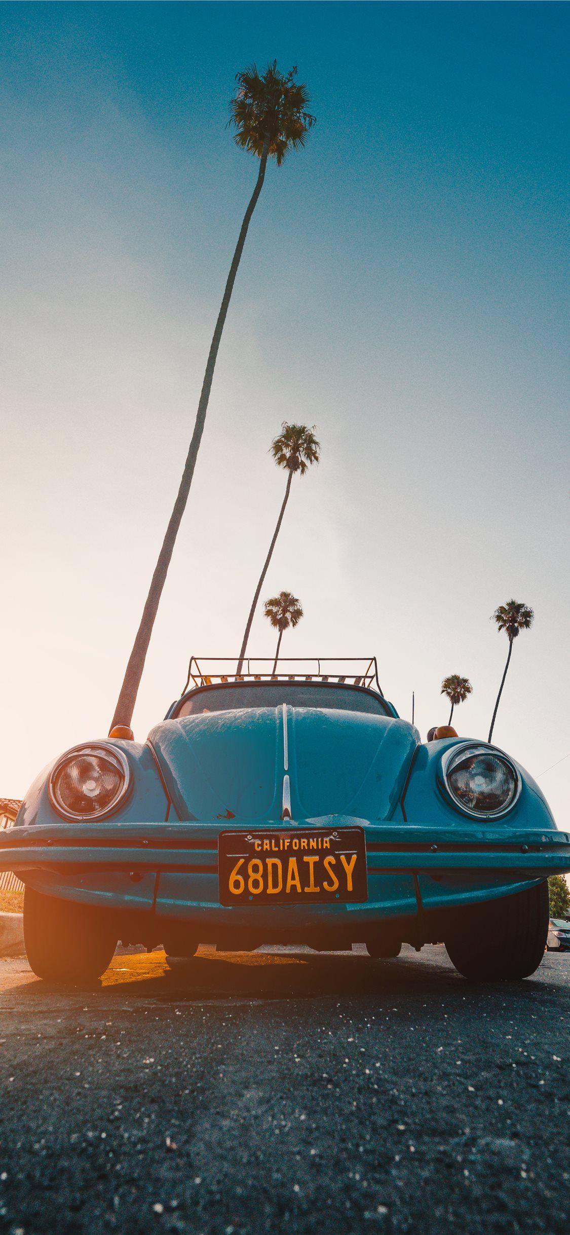 A vintage blue Volkswagen Beetle sits in front of a palm tree in California. - California