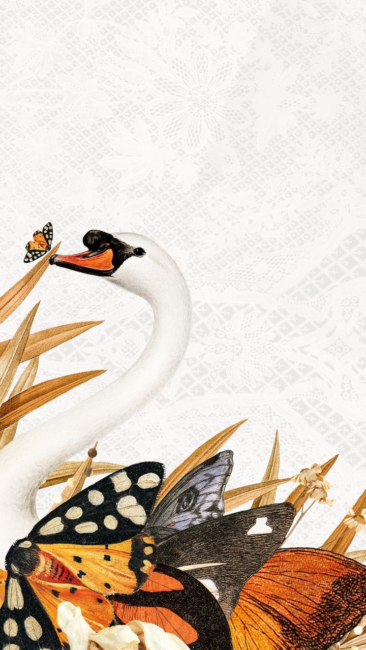 IPhone wallpaper with a swan, butterfly, and orange flowers - Vintage