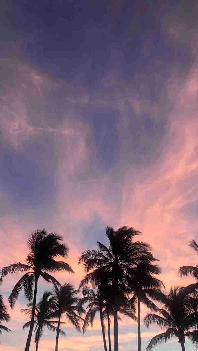 A sunset with palm trees and clouds - Summer