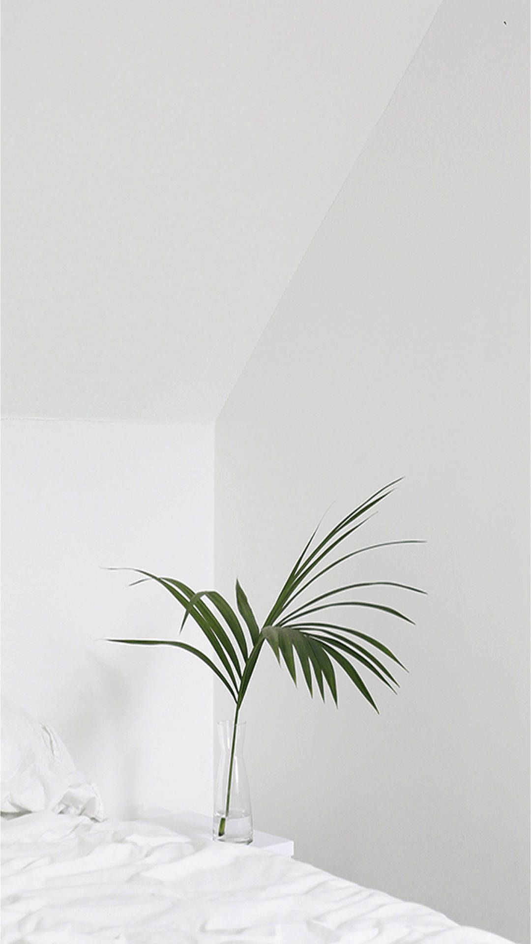 Download Palm Leaf In Cute White Aesthetic Room Wallpaper